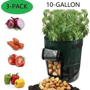 Grow Bags 10 Gallon Garden Vegetables Planter Bag_01